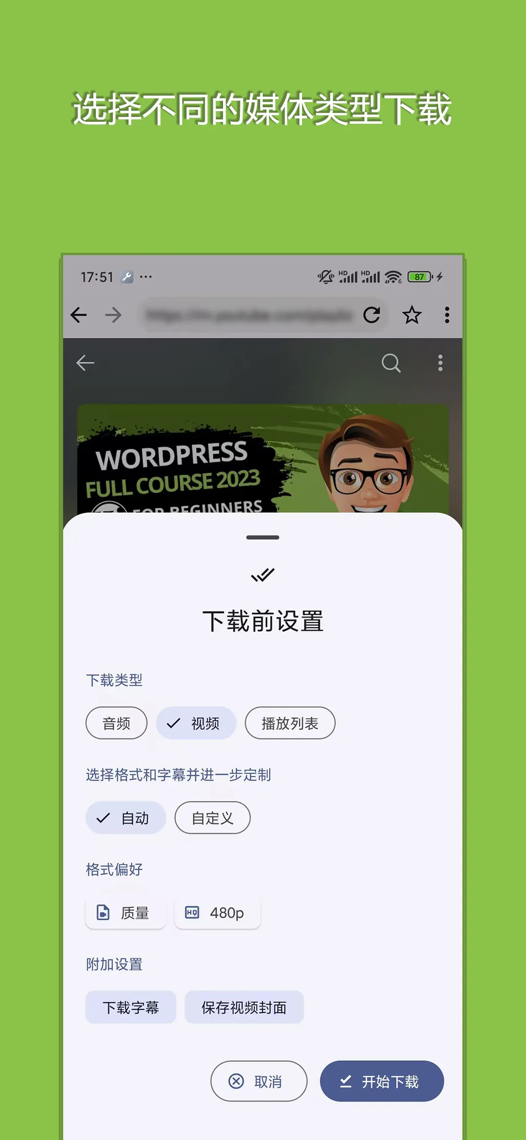 VidKeeper 真实截图 2
