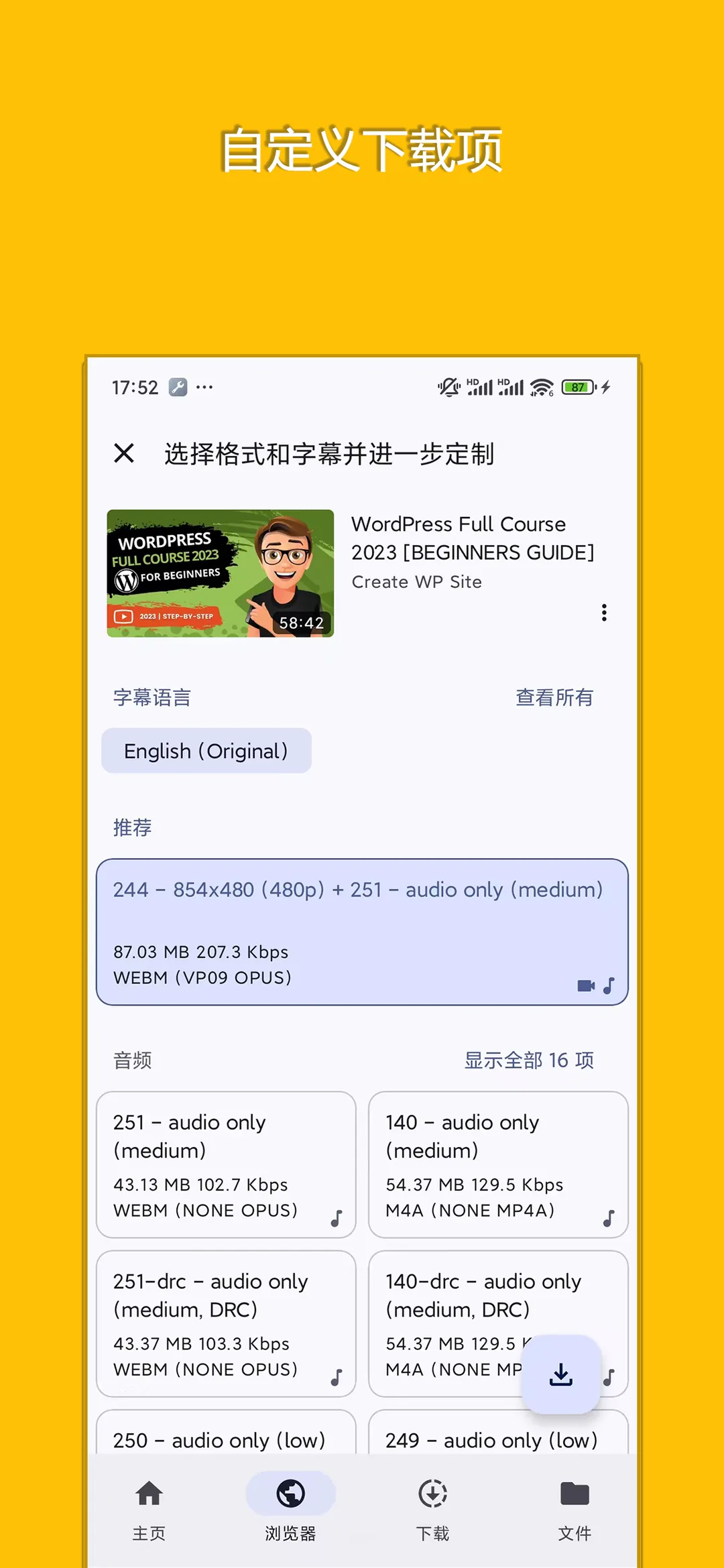 VidKeeper 真实截图 3
